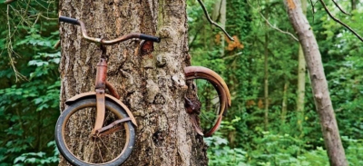 Bicykel v strome