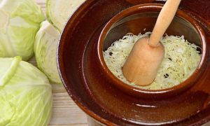 kapusta