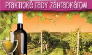 Rok vinohradníka a vinára