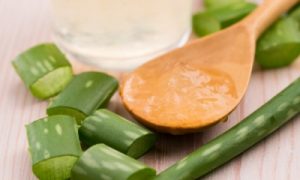 Aloe vera