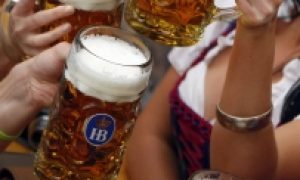 pivo