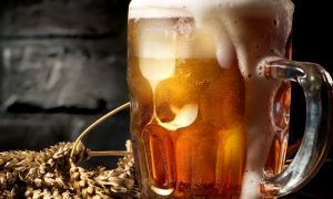 Pivo