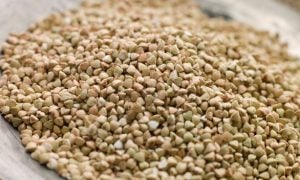 Quinoa