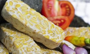 tempeh