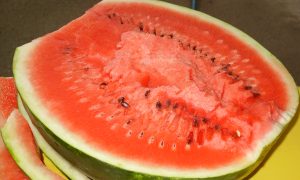 Vodný melón