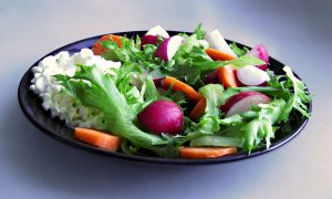 Vegetariánska strava