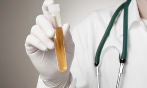 Doktor