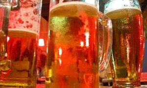 Pivo