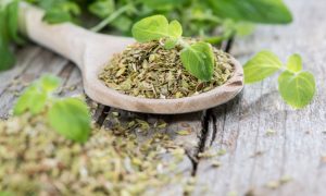 Oregano