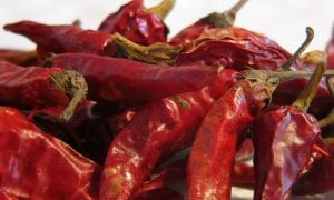 Chilli papričky