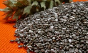 Chia semienka