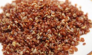 Quinoa