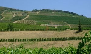 Tokaj