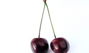 Višňa