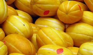 Žltý melón