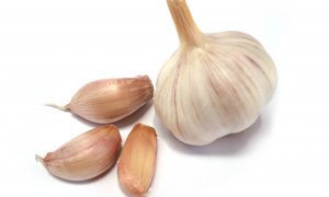 Cesnak