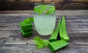 Aloe vera