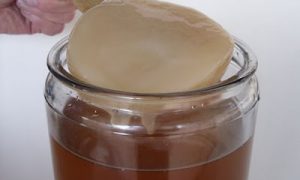 Kombucha