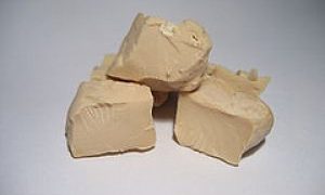 Droždie