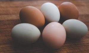 Foto: unsplash.com