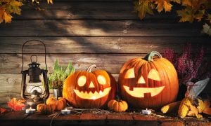 halloweenské tekvice