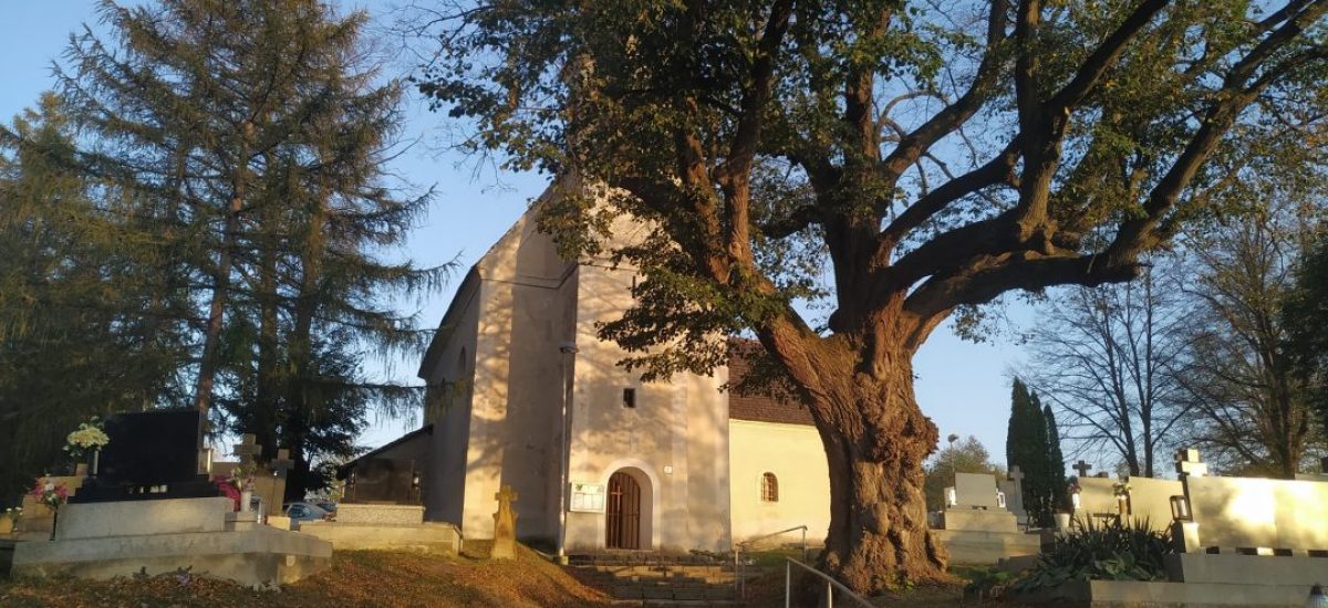 Kostol sv. Martina v Moravanoch nad Váhom