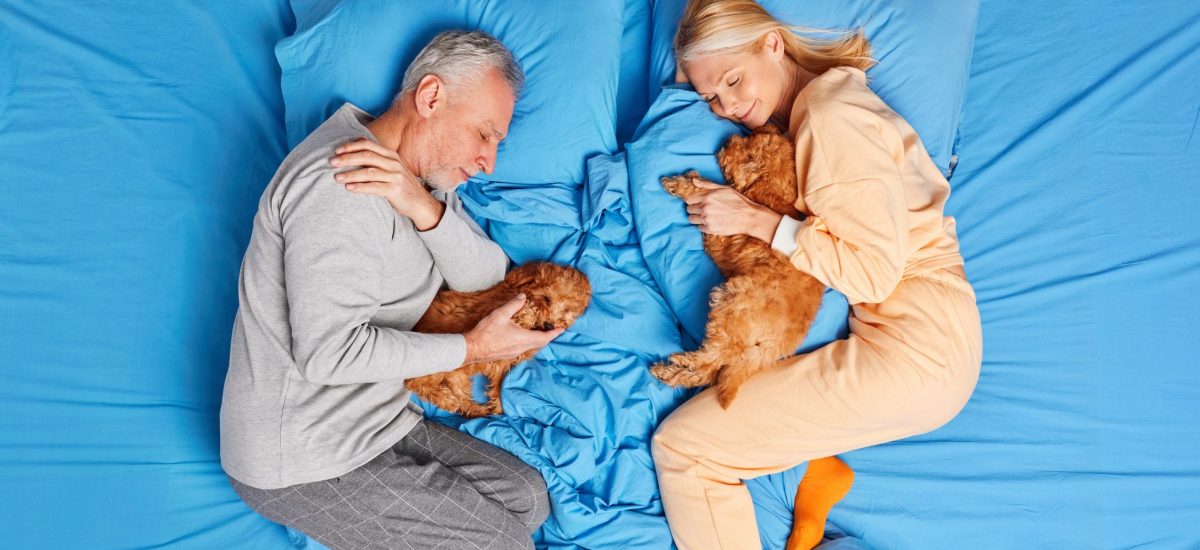 Spiaci ľudia a psy na posteli
