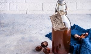 gaštanový sirup