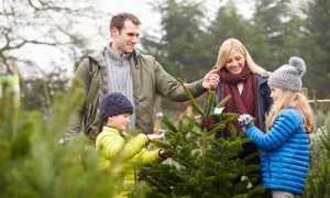 Vianočný stromček