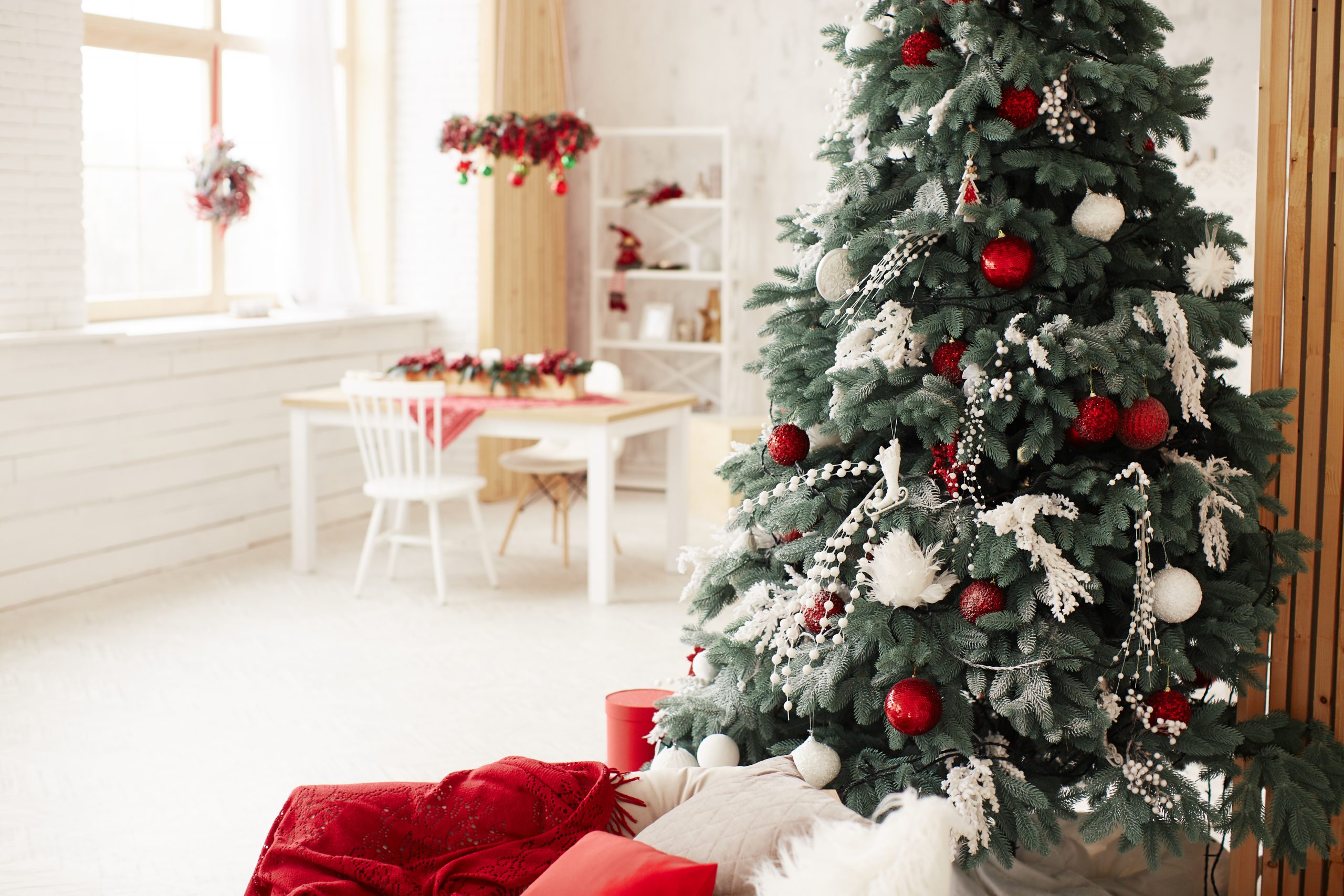 vianočný stromček v izbe