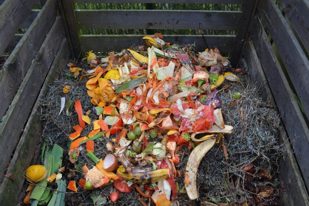 kompost plný organického odpadu
