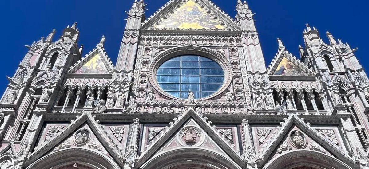 Siena katedrála