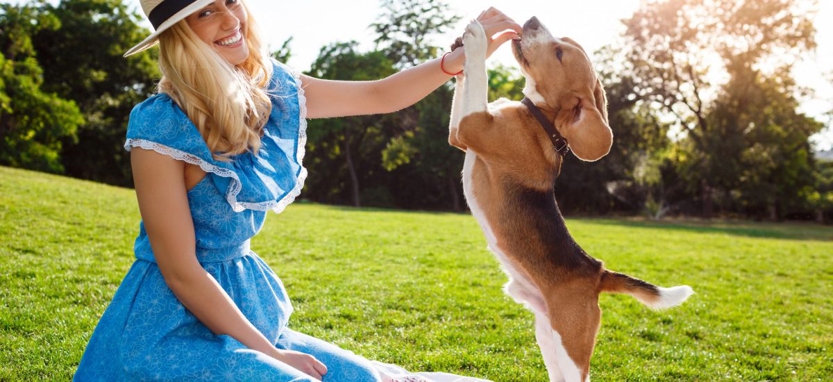 nezabúdajte na zvieratká – žena so psíkom pri hre na tráve
