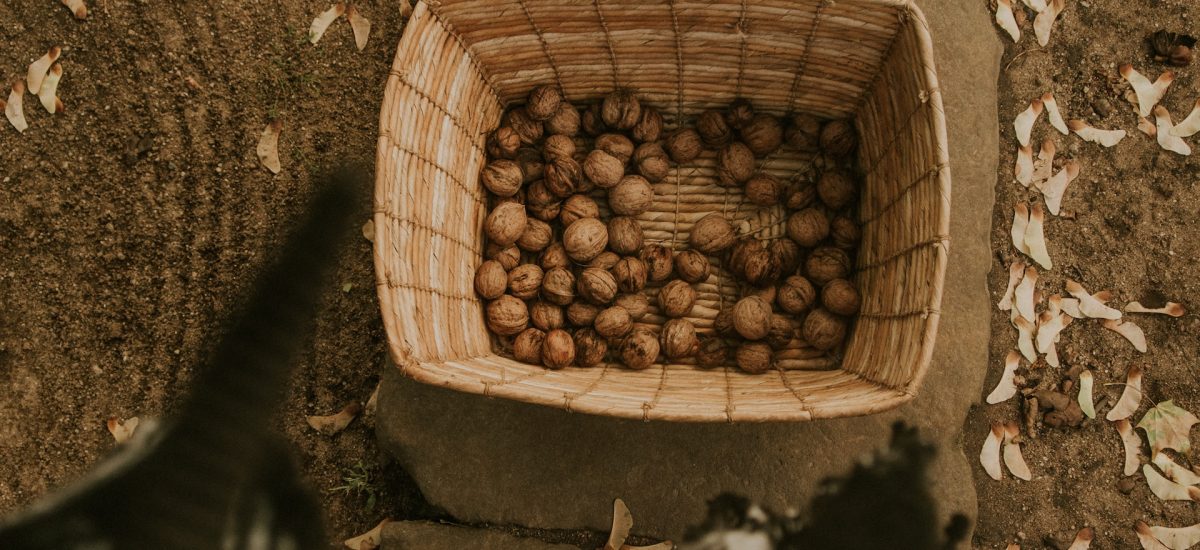košík na sušenie vlašských orechov