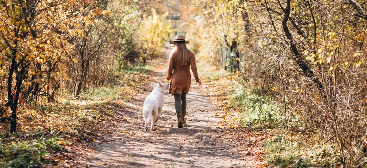 zmena ročných období a jesenná prechádzka ženy so psíkom