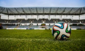 lopta na trávniku a oslava futbalu