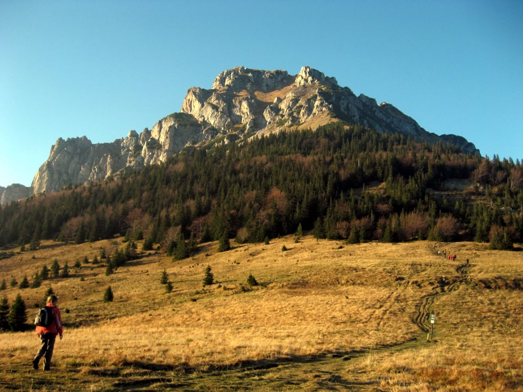 Rozsutec