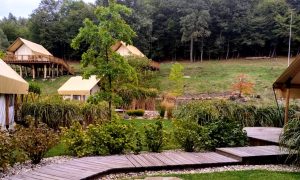 Glamping