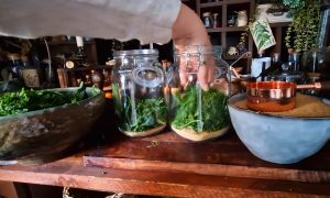 sklené poháre pripravené na skorocelový sirup