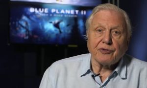 britský prírodovedec a dokumentarista Sir David Attenborough