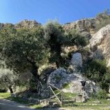 Latomia del Paradiso - obrovský kameňolom, kde sa ťažil vápenec. (Zdroj: plnielanu.sk/minako)
