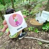 krakovec a zábavný prvok lesana pre deti
