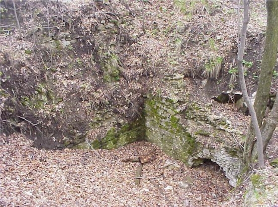 Ruiny hradu Teplica